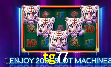 Especiais de Fim de Semana tg77